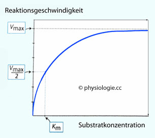 Enzymstrukturdiagramm